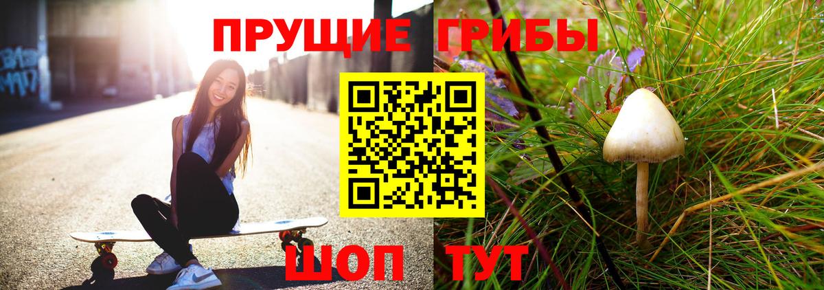 Псилоцибиновые грибы GOLDEN TEACHER Аша