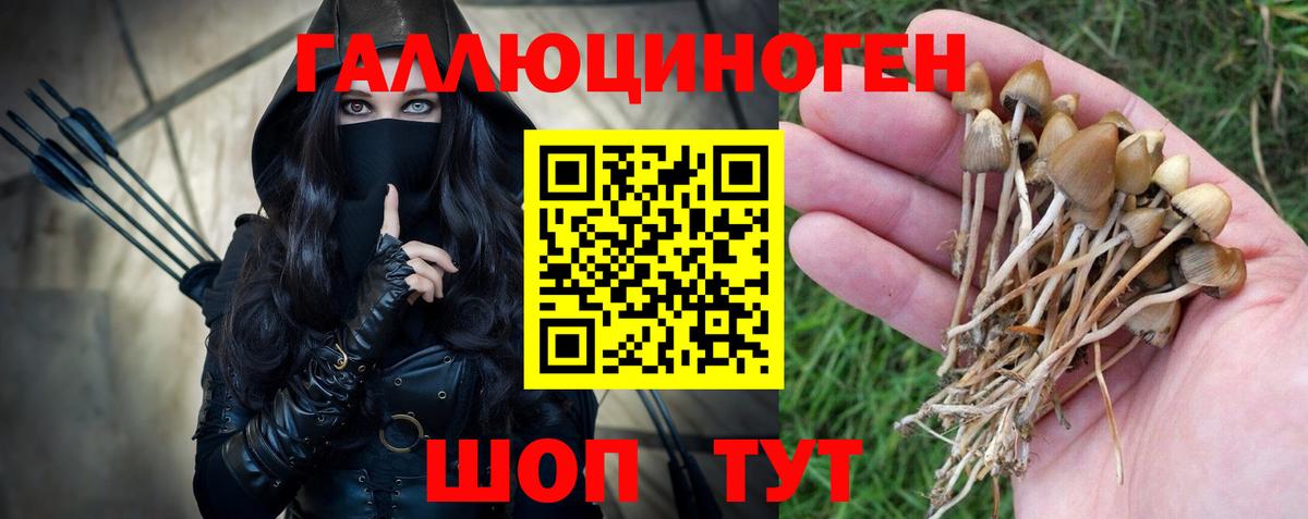 Галлюциногенные грибы GOLDEN TEACHER  Вход с VPN  Псилоцибиновые грибы мухоморы  Аша 